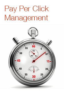 PPC Pay Per Click Services and Management